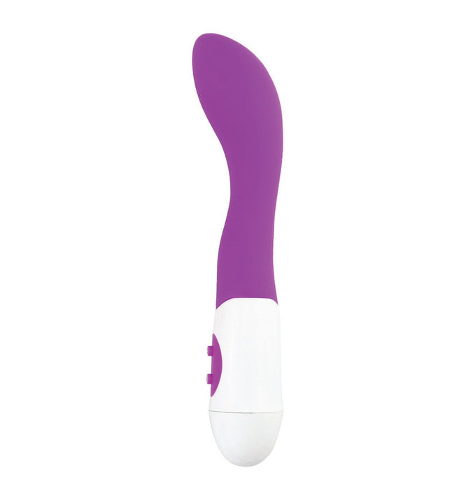 Everyday Sexy Premium Silicone G-Spot Vibrator - Purple